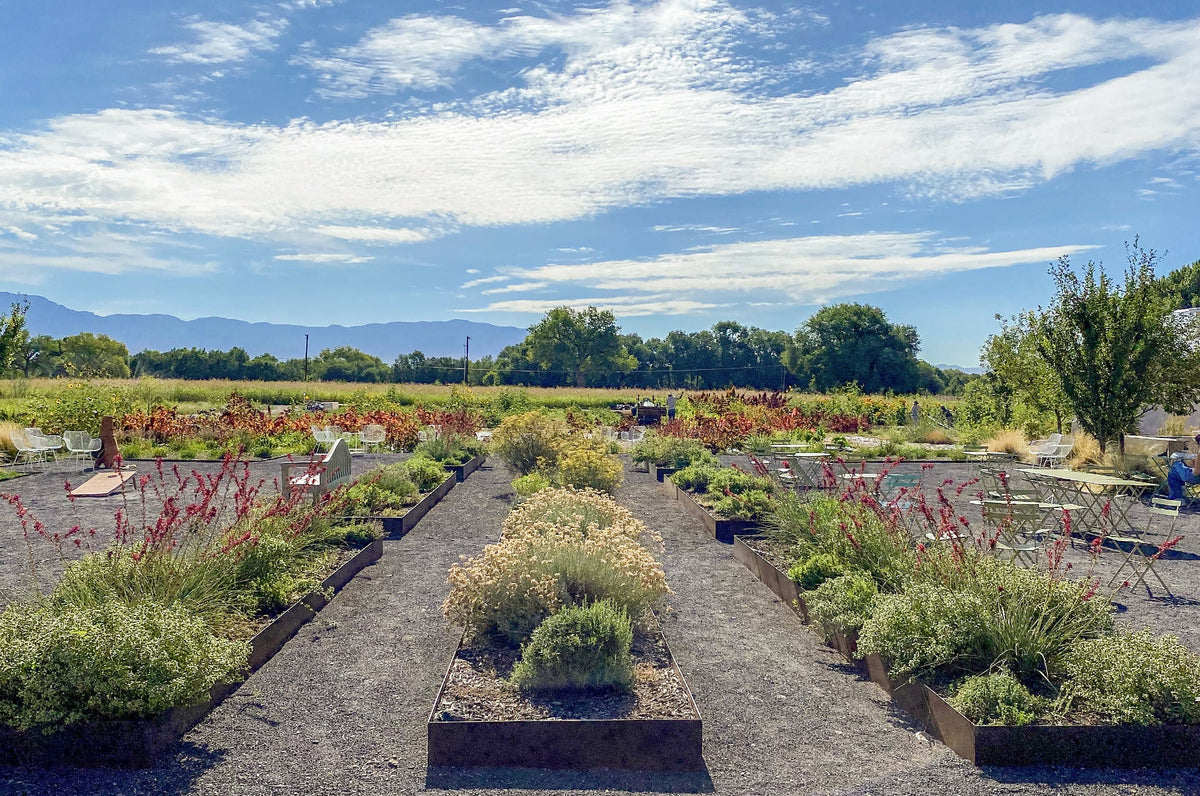 Botanicals & Distillation