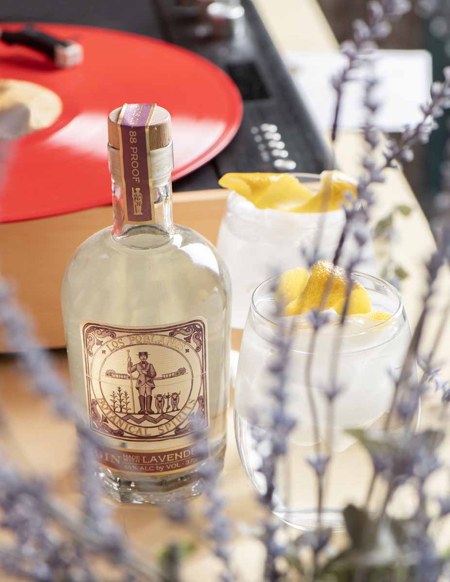 Twin Gin Gift Set