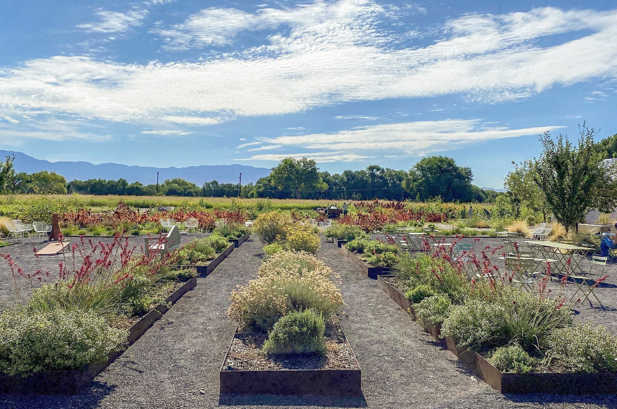 Botanicals & Distillation