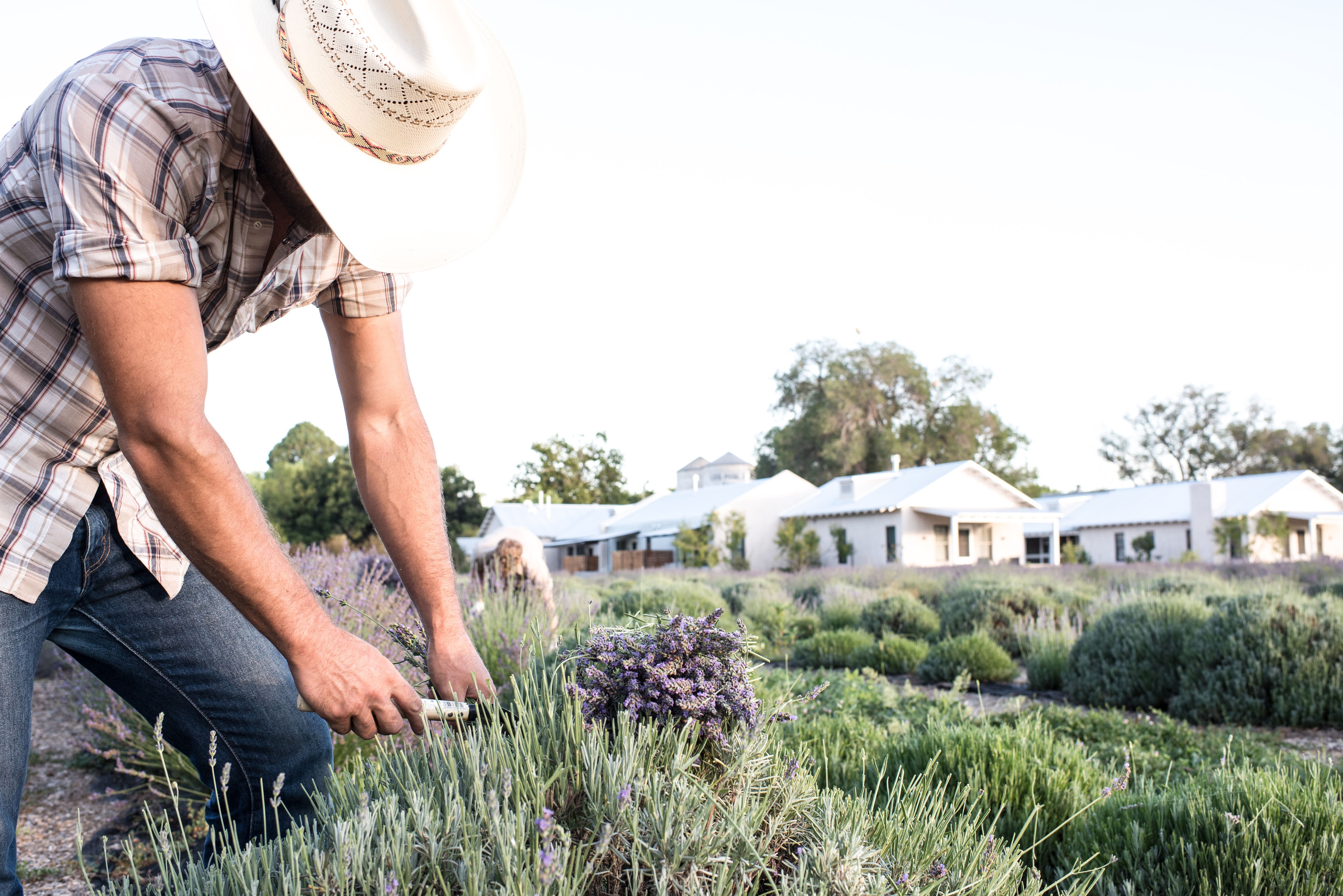 Regenerative Farming